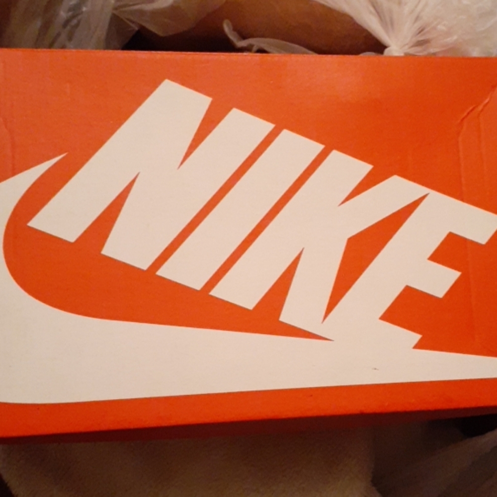 Lebron Sneakers